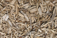 biomass boilers Beggars Ash